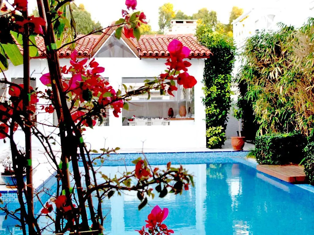 Alacati Alenos Hotel 2*,  トルコ